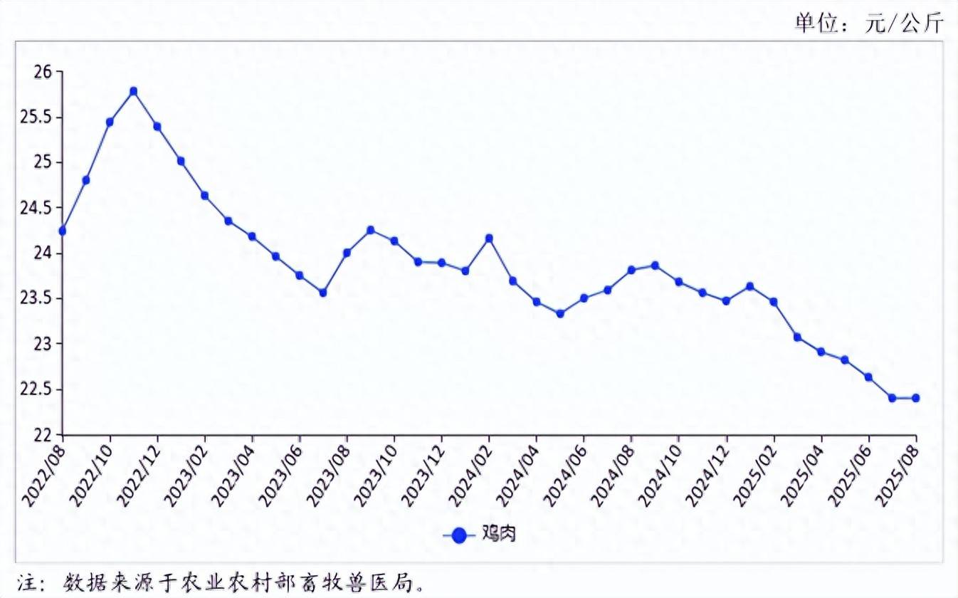 2025年8月禽肉供需形势分析月报